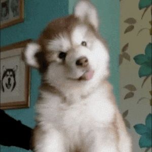 Meet your Posher, Bree